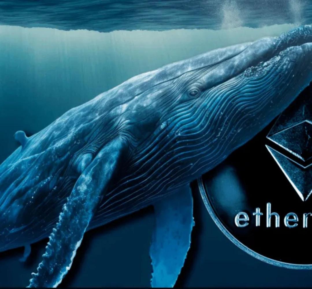 Bí ẩn giao dịch chuyển 295 triệu USD ETH của ví "cá voi" Ethereum
