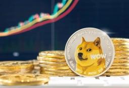 Giá DOGE tăng 16% sau khi Elon Musk công bố kế hoạch D.O.G.E.