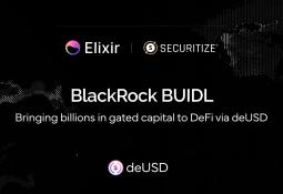 Quỹ BUIDL của BlackRock hợp tác Elixir, mở đường tích hợp DeFi