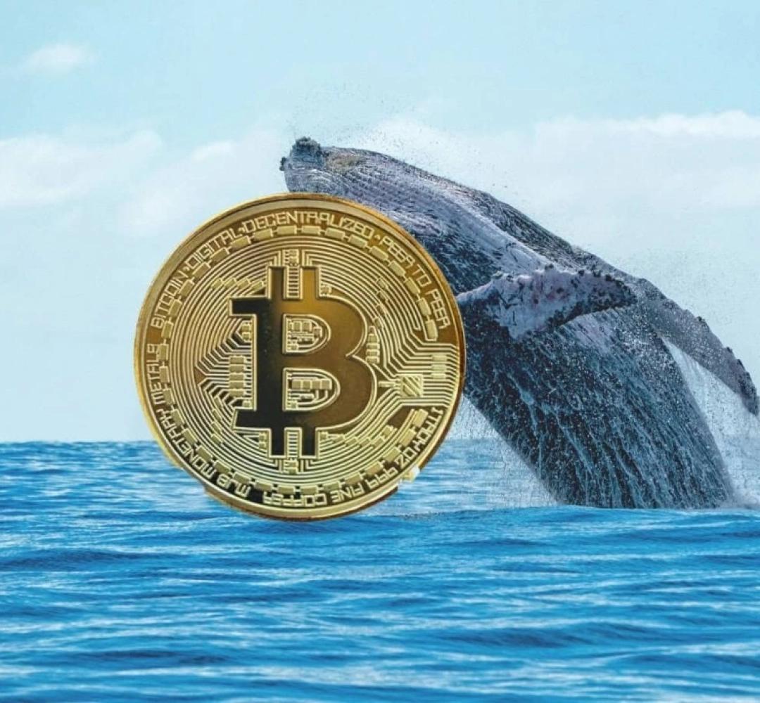 [Cập nhật] Ví Bitcoin “ngủ đông” 14 năm bất ngờ "dậy" chuyển 80.000 BTC, trị giá 8,7 tỷ USD