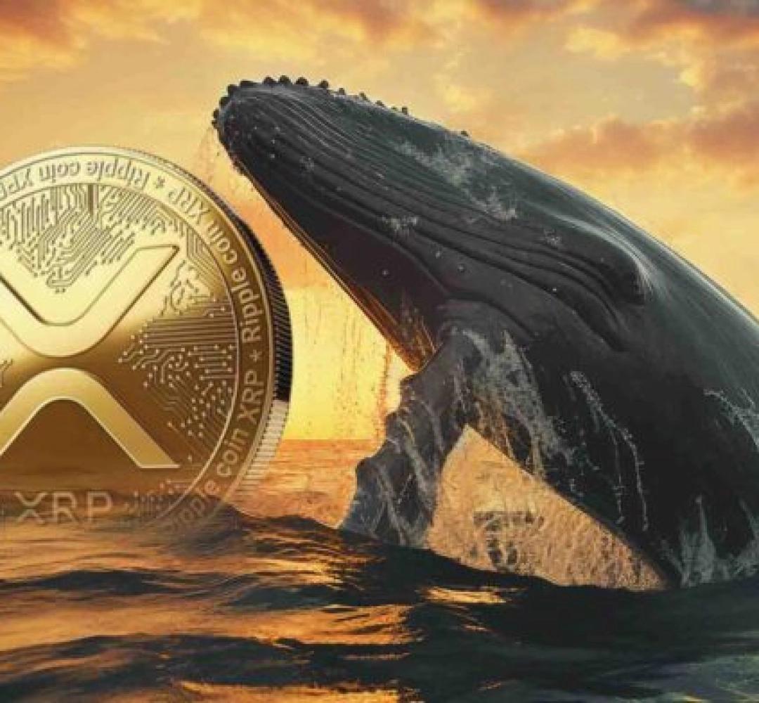Những “bóng ma Satoshi” trỗi dậy, hàng tỷ USD BTC & XRP dịch chuyển
