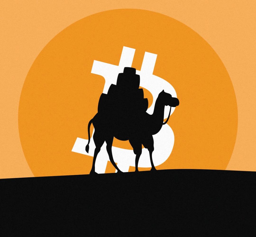 Cụm ví cổ của Silk Road bất ngờ thức giấc sau hơn thập kỷ