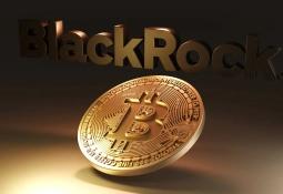 Quỹ ETF Bitcoin của BlackRock ghi nhận inflow lớn nhất 3 tháng qua