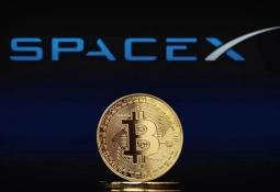 SpaceX vẫn ôm 603 triệu USD Bitcoin giữa khoản lỗ 5 tỷ USD