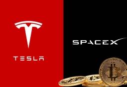 Elon Musk có thể sở hữu kho Bitcoin lớn thứ 5 thế giới nếu điều này xảy ra