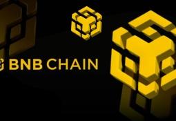 Cựu nhân viên BNB Chain dùng ví nội bộ làm memecoin, thu lợi 600.000 USD